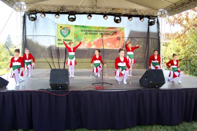 A XVII. Városnap és XV. Almafesztivál képekben